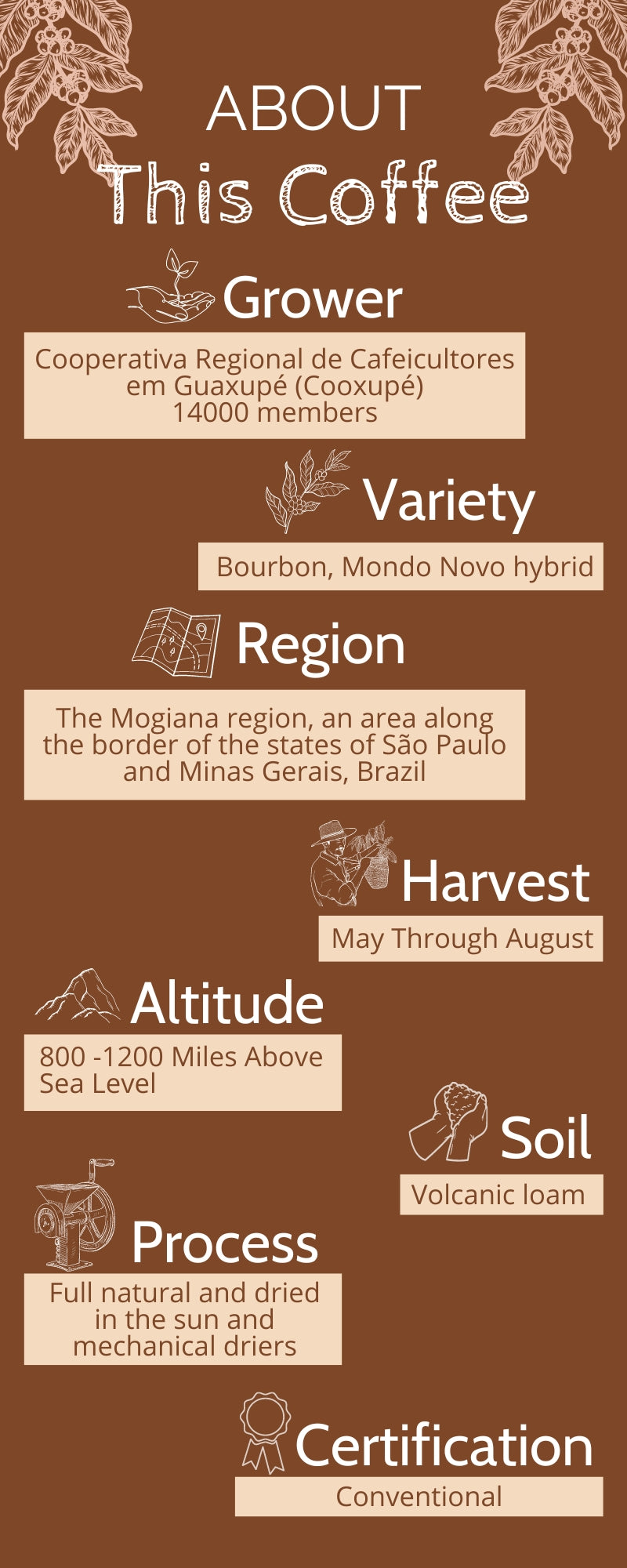 Brazil - Single Origin (Wholesale)