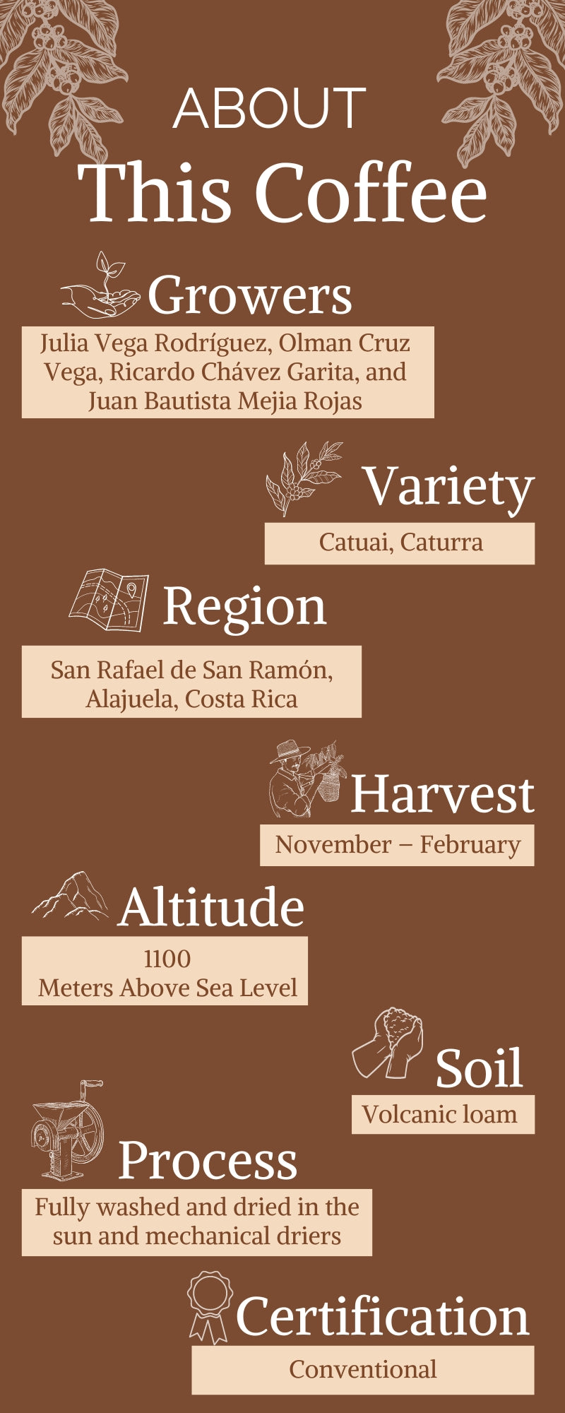 Costa Rica - Single Origin (Wholesale)