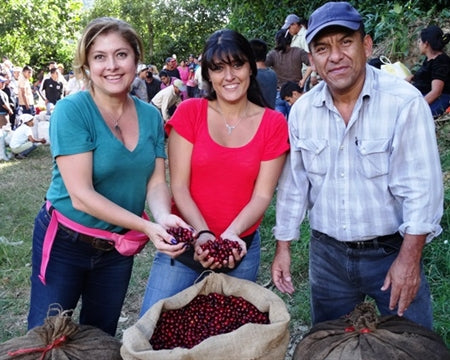 El Salvador - Single Origin