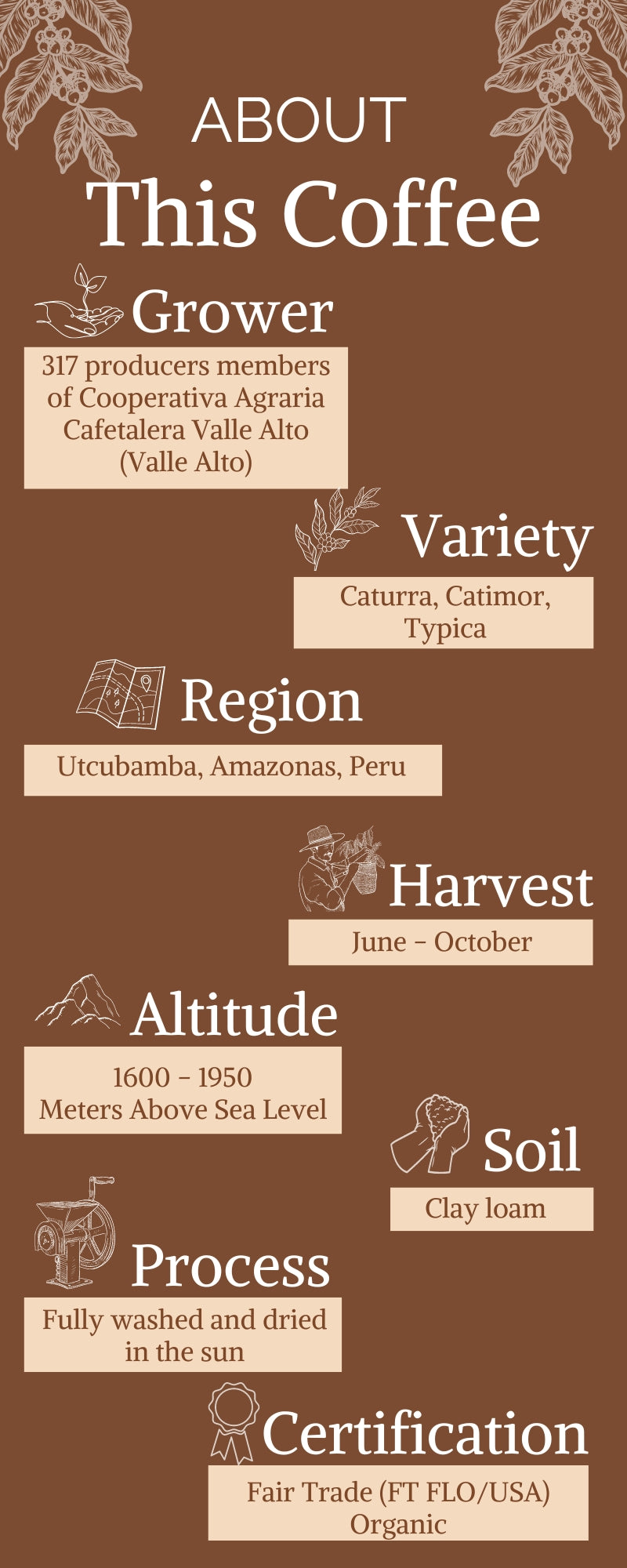 Peru (FTO) - Single Origin (Wholesale)