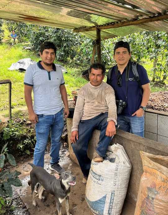 Peru (FTO) - Single Origin (Wholesale)